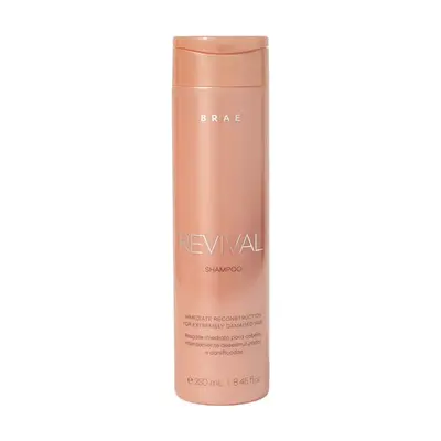 Shampoo Reconstrutor Braé Revival